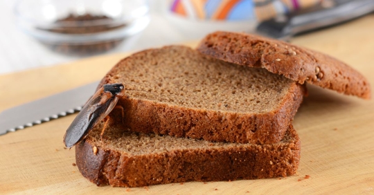 cockroach crawling on bread