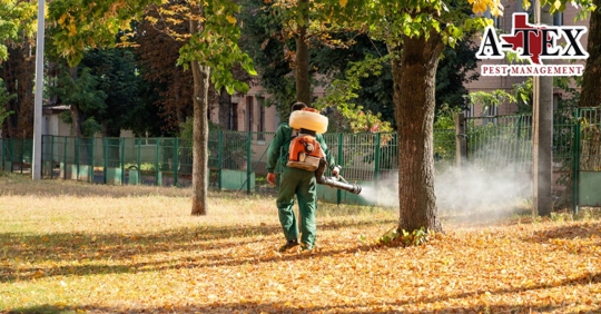 Pest control technician working in fall