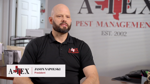 Residential Pest Control