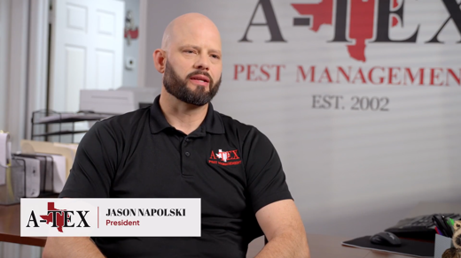 Commercial Pest Control